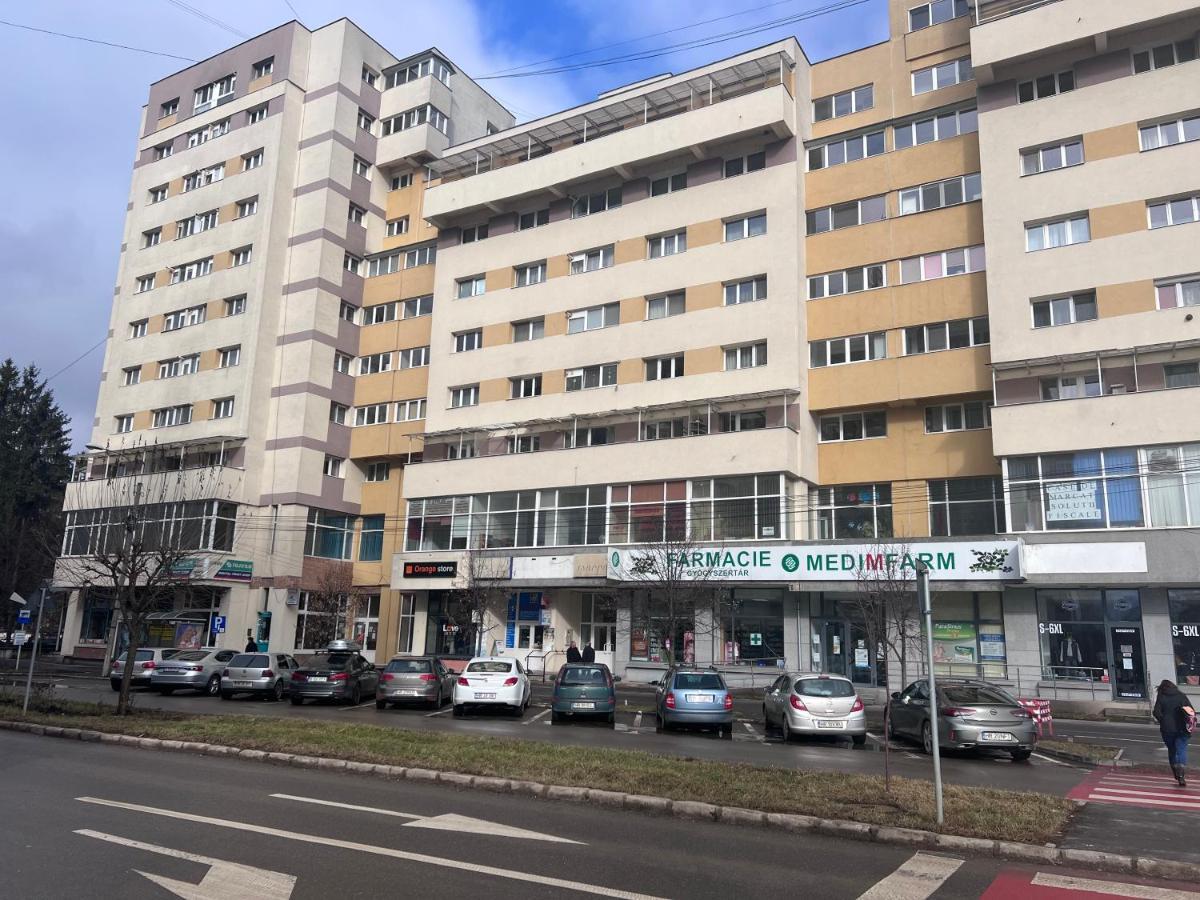 Victoria Apartment ميركورا تشيوك المظهر الخارجي الصورة